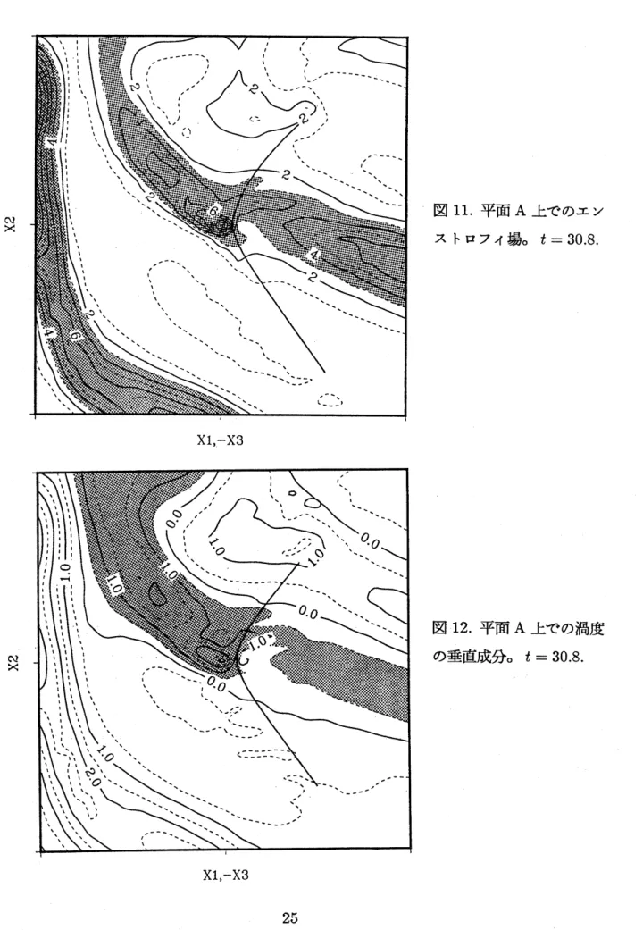 図 11. 平面 A 上でのエン 億 ストロフイ場。 $t=30.8$ . Xl,-X3 図 12. 平面 A 上での渦度 $o\grave{\cross^{)}}$ の垂直成分。 $t=30.8$ 